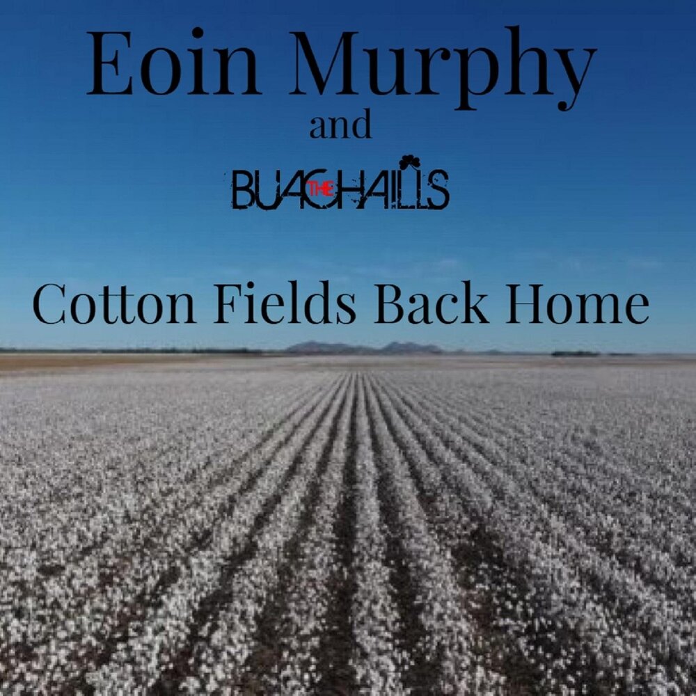 Back fields. Field Cotton Nigga.