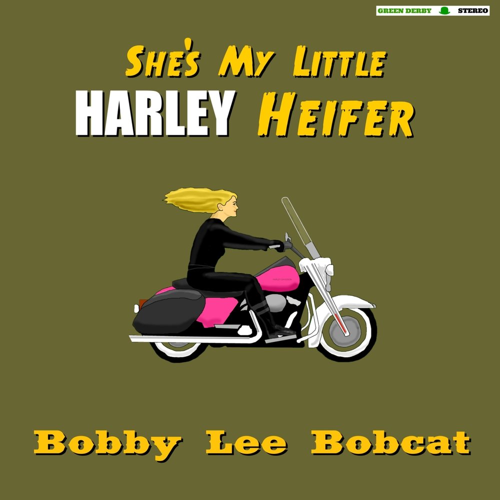 Little harley. Harley little Candy, Ирина Попкова. My little Harley. Bboobb mmaarrlleeyy. Big Harley little man.