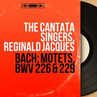 The Cantata Singers