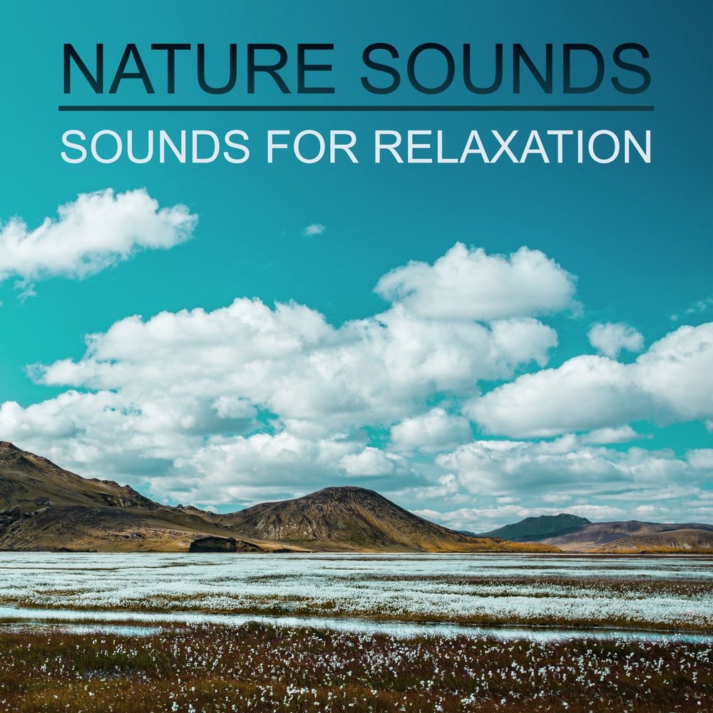 Naturals sounds. Natural Sounds. "Nature Sounds" && ( исполнитель | группа | музыка | Music | Band | artist ) && (фото | photo).