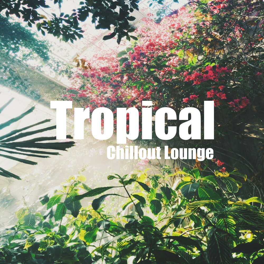 Chill tropical