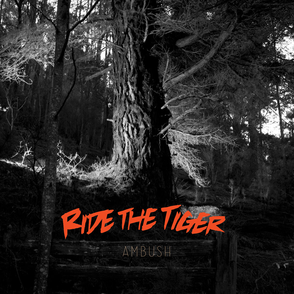 Tiger слушать. Tiger Ambush. Ride the Tiger.