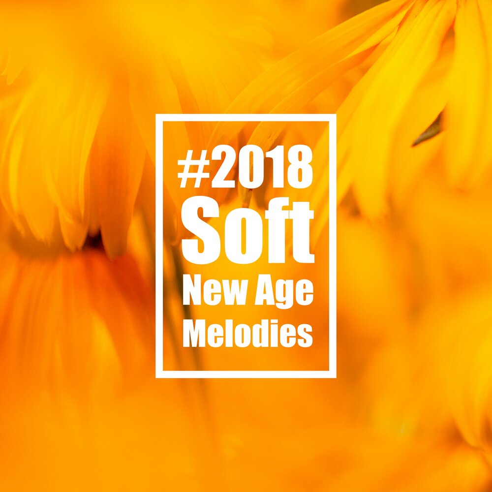 Soft 2018