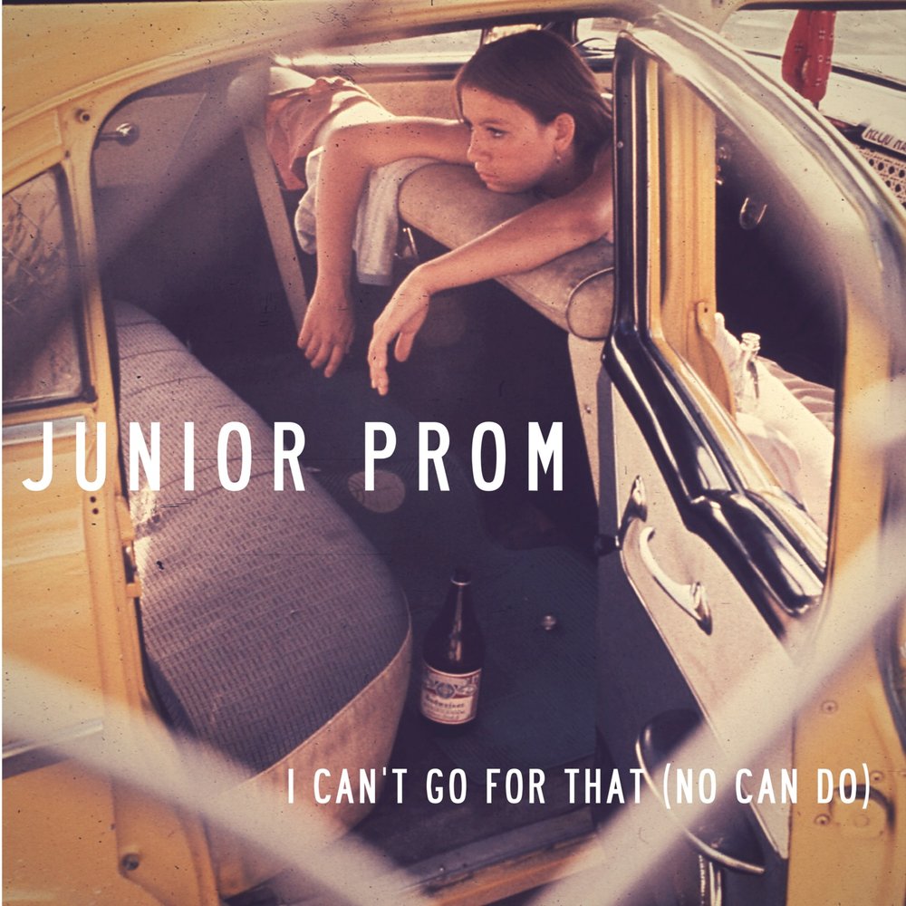 I cant do this песня. Stand Junior Prom Lyrics. No can do.