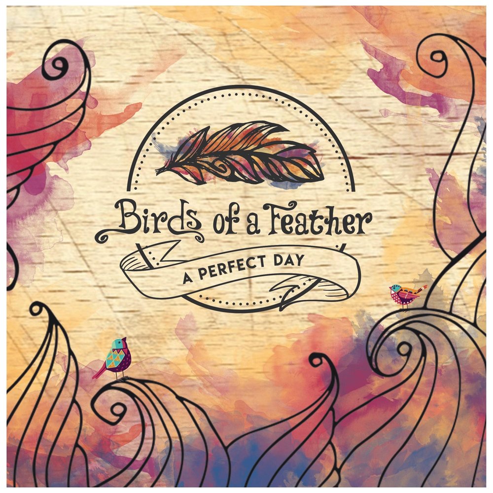 Birds of a Feather учебник. Песня all the Birds of a Feather. Книга Dreaming of Bird. Little Feather Band.
