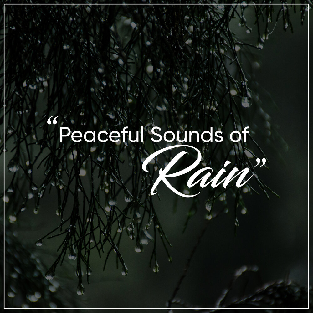 Rhythm of the rain. Дождь в лесу. Moody - the gentle Rain. Creedence Clearwater Revival - have you ever seen the Rain.