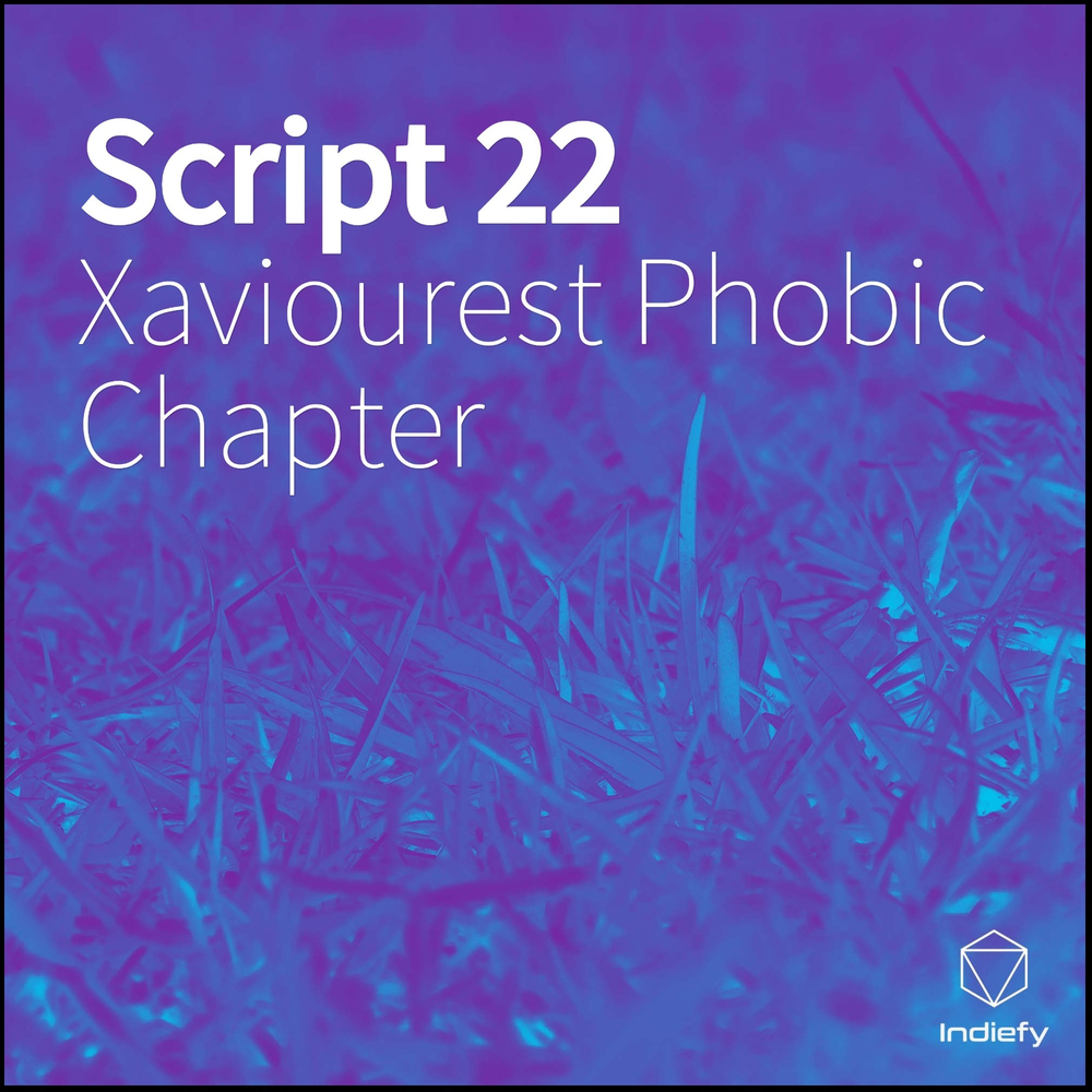 Script 22. Phobic. Phobic q2.