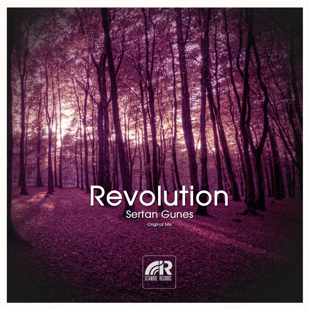 Песни революшен. Revolution музыка