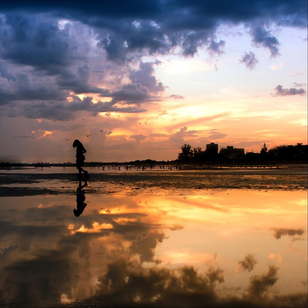 Winters call. Набор iskra: dead of winter. Winter's calls. Black ops 3 frozen forest. Winter calling.