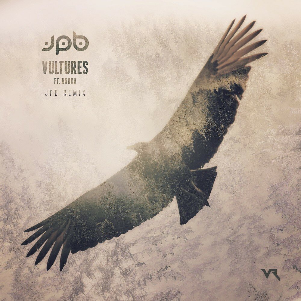Vultures album. Обложка альбома Vultures. Альбом Vultures 1. Vultures 2 обложка. Обложка альбома Vultures 1.