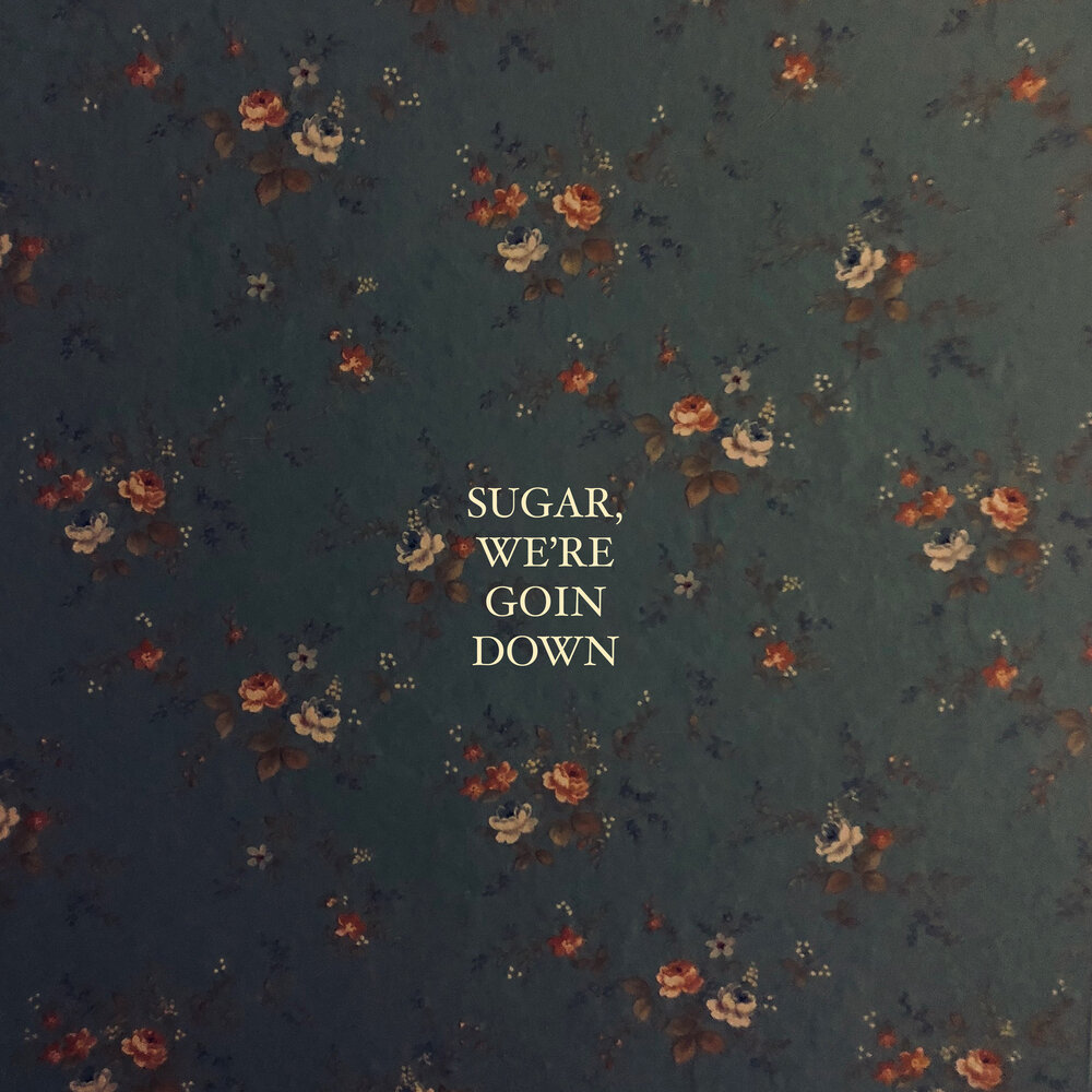 Sugar, We're Goin Down - Roses & Revolutions. 
