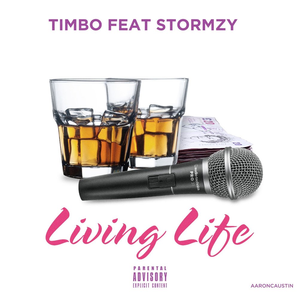 Музыка living life. Stormzy альбомы. Timbo.