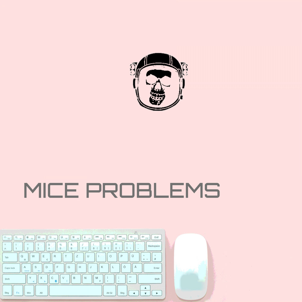 Mice problem