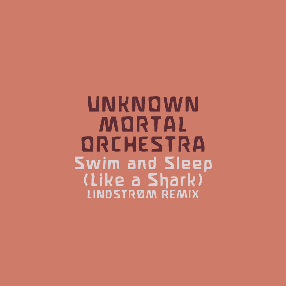 Unknown Mortal Orchestra. Unknown Mortal Orchestra – Unknown Mortal Orchestra Vinyl. Slept like now