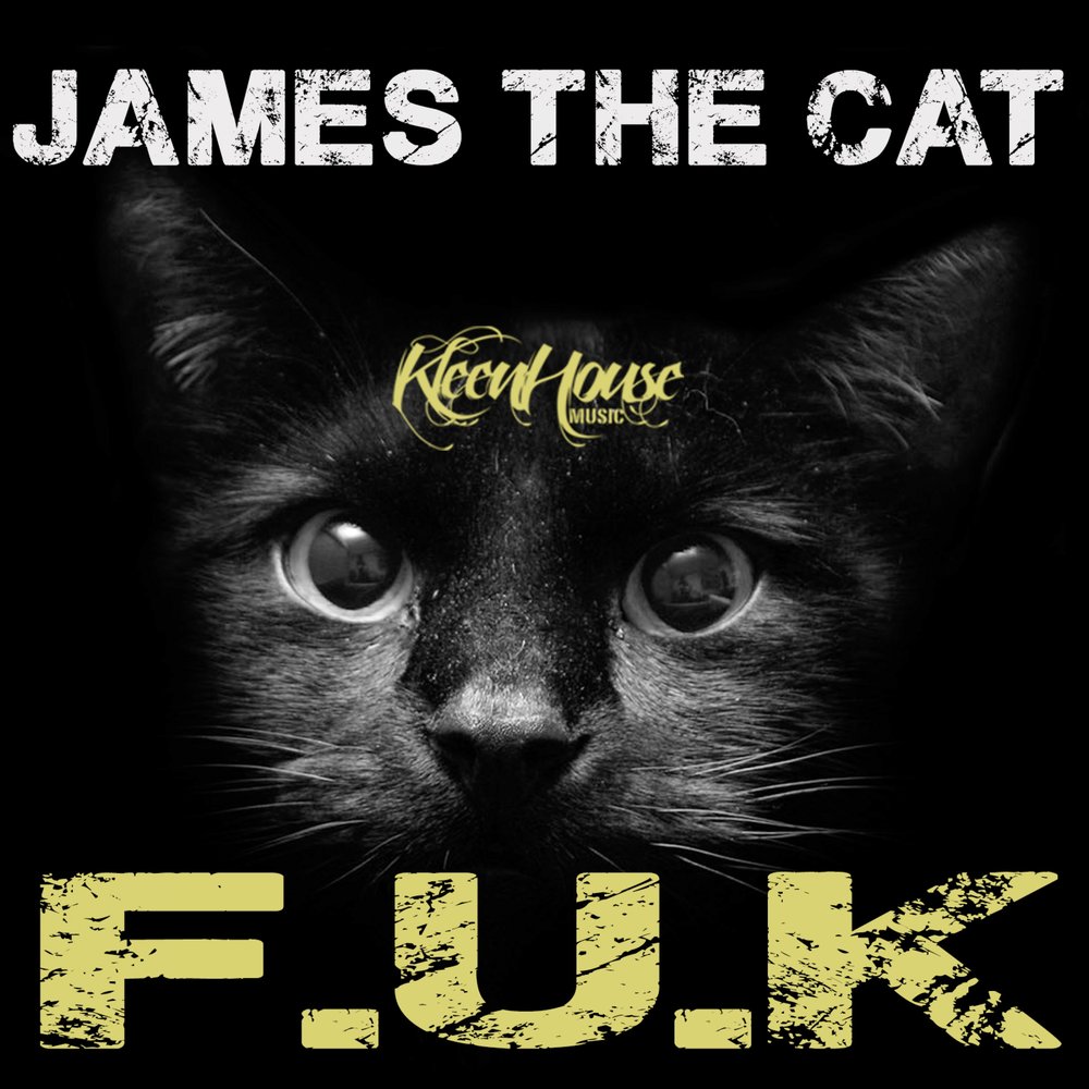 Слушать кэт. James the Cat. James the Cat 1984. F Cat. James the Cat - Seaside.