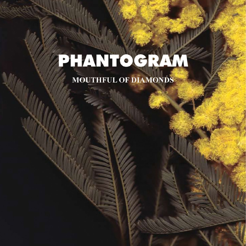 Phantogram when i m. Phantogram обложка. Phantogram three обложка. Phantogram обложка альбома. Phantogram when i'm small.