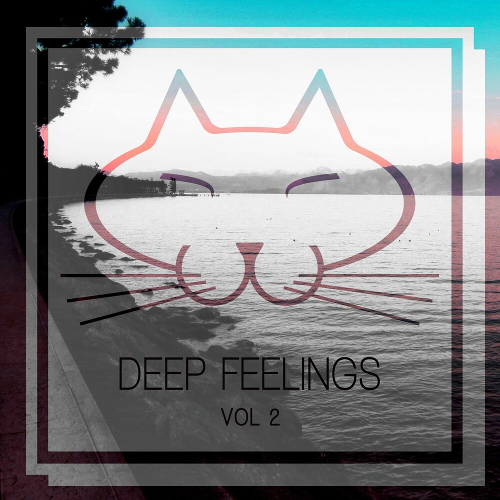 Music deep feelings. 1995 - More feelings.