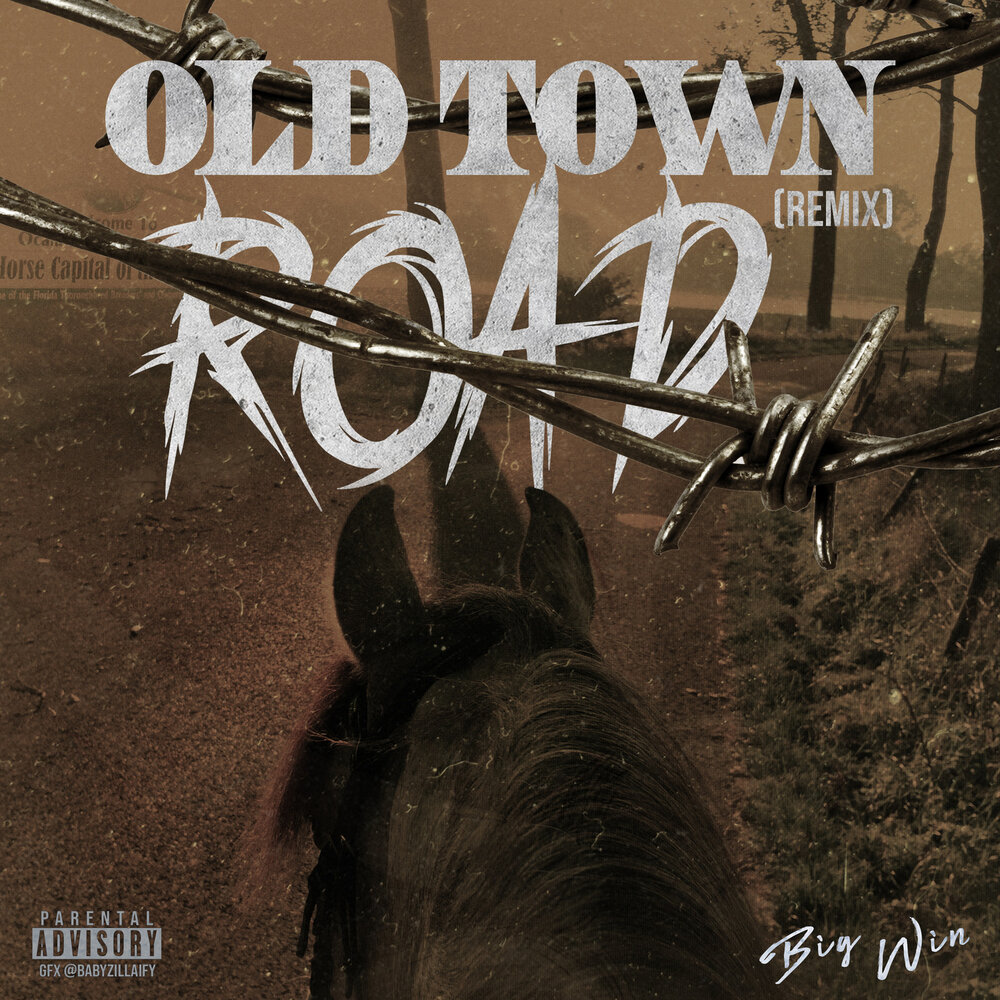 The town road remix. Old Town Road Remix.