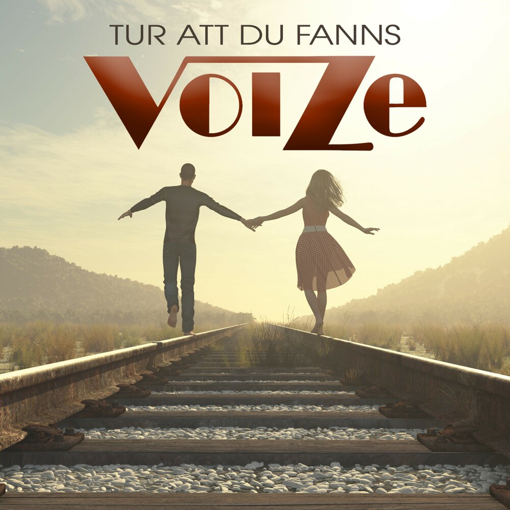 Voize. Arm n Tur album. Fanns.