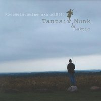 artist-cover