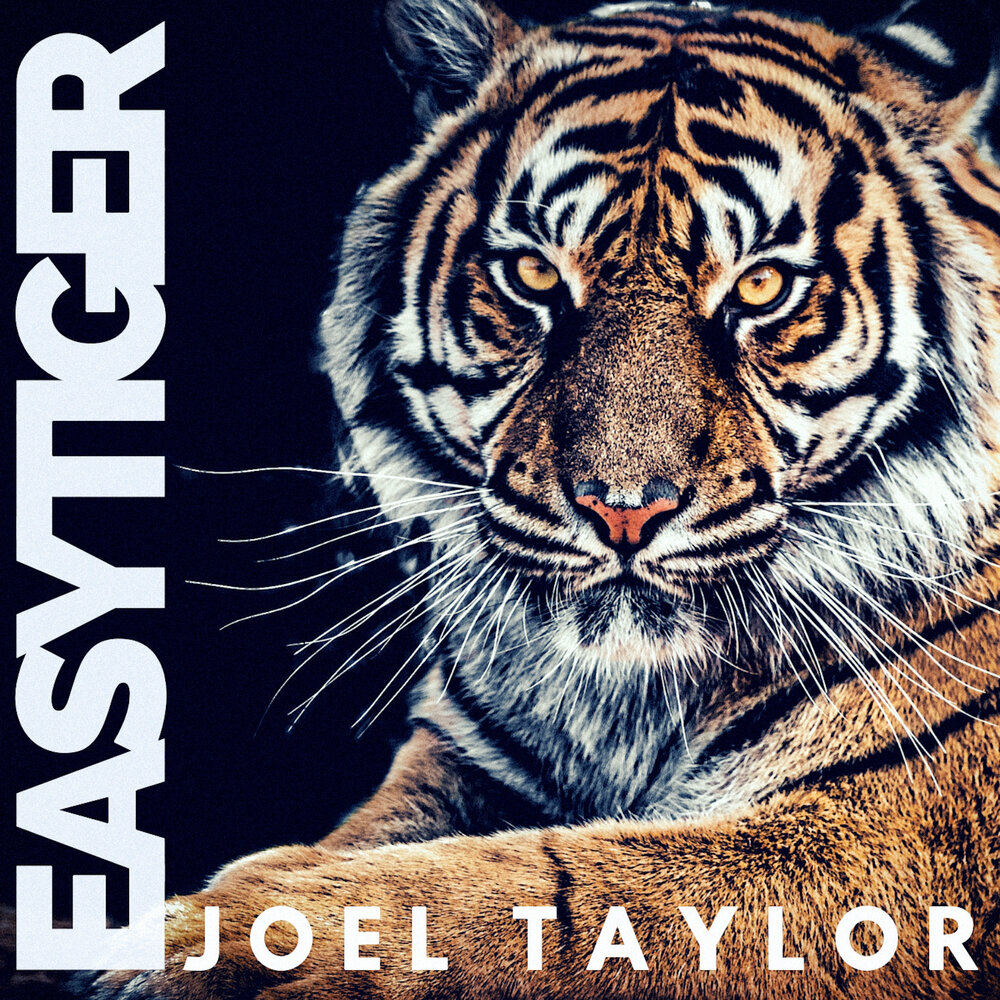 Easy tiger. Тигр рисунок изи. Easy tiger. Картинка loudmouth. Easy, tiger! пример из фильма.