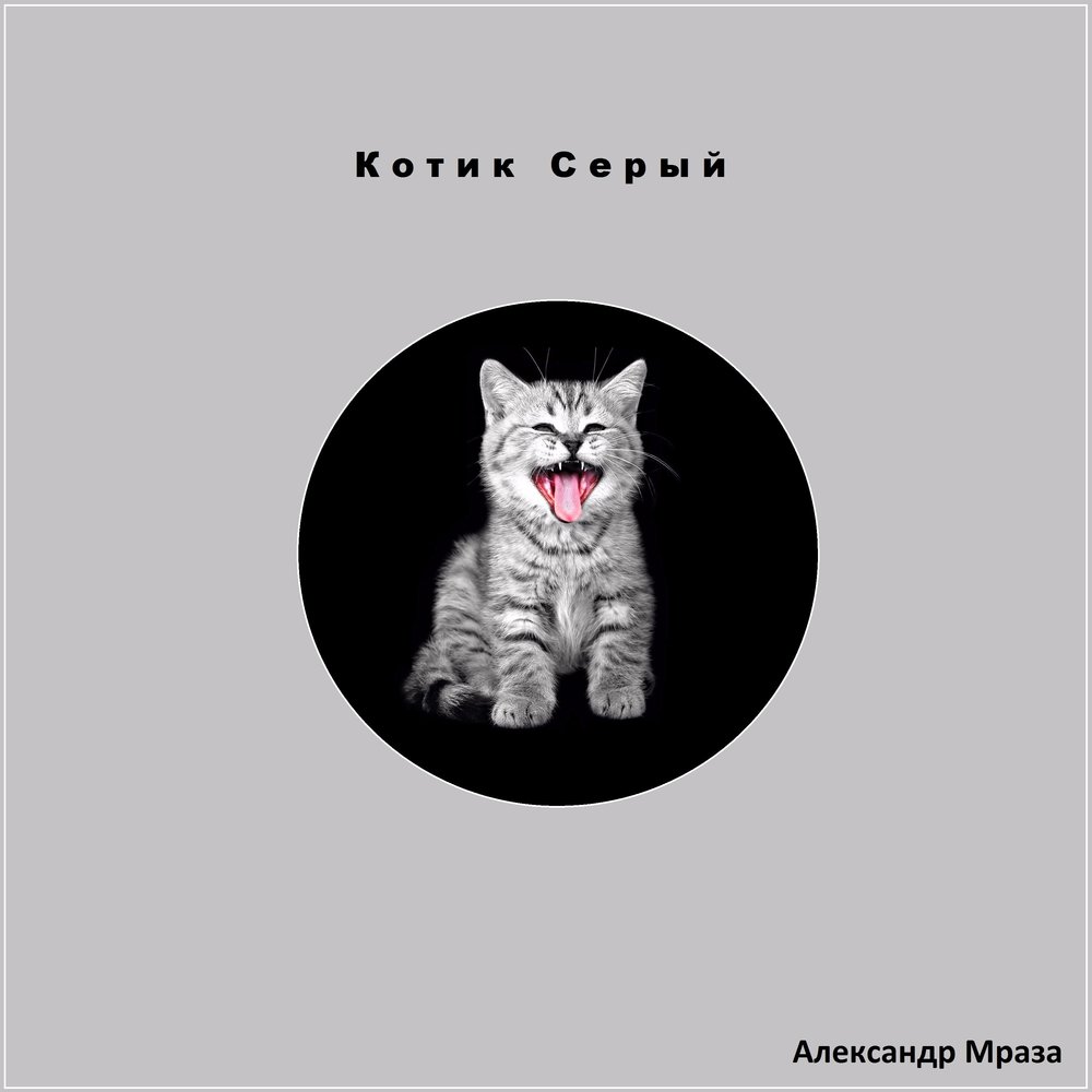 кот на рояле. серый кот песня. кот и ноты. та та два кота два ободранных хвоста. два кота ноты.