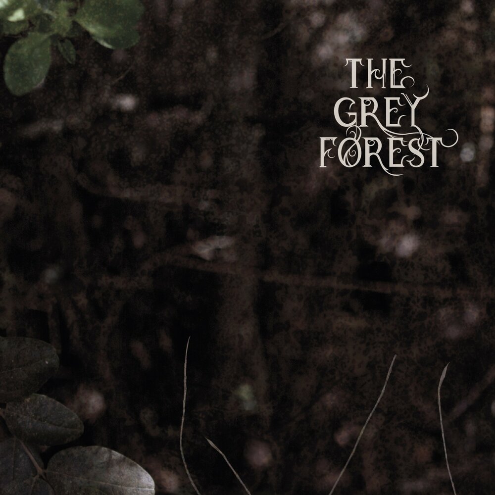 Форест грей. Форест грей 2002 года. Forest of Grey Metal Band.