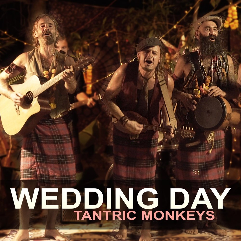 Манки слушать. Tantric Monkeys. Monkeys Wedding.