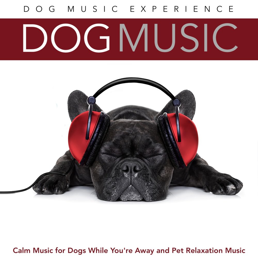 Dog музыка. Music for Pets z.