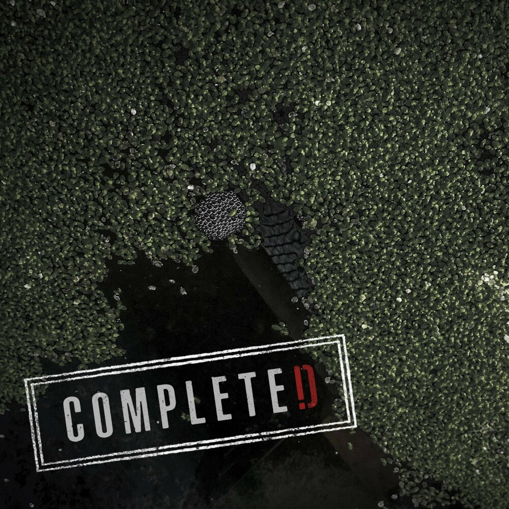 Run the complete
