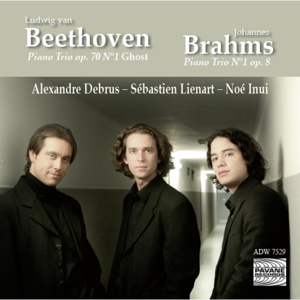 Бетховен трио. Творчестве Alexandre Debrus.