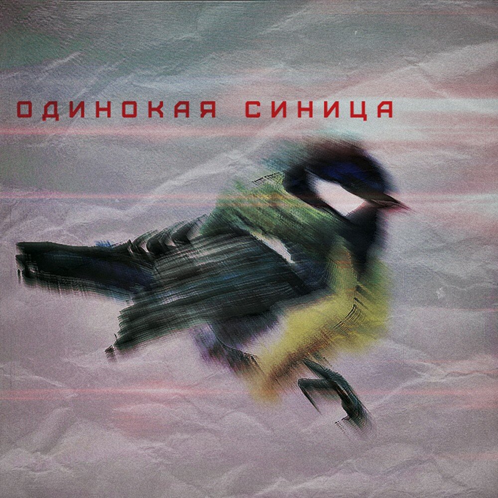 Песня птицы волной. Птица счастья текст. Море, чайки. Обложка птицы. Чайки над волной.