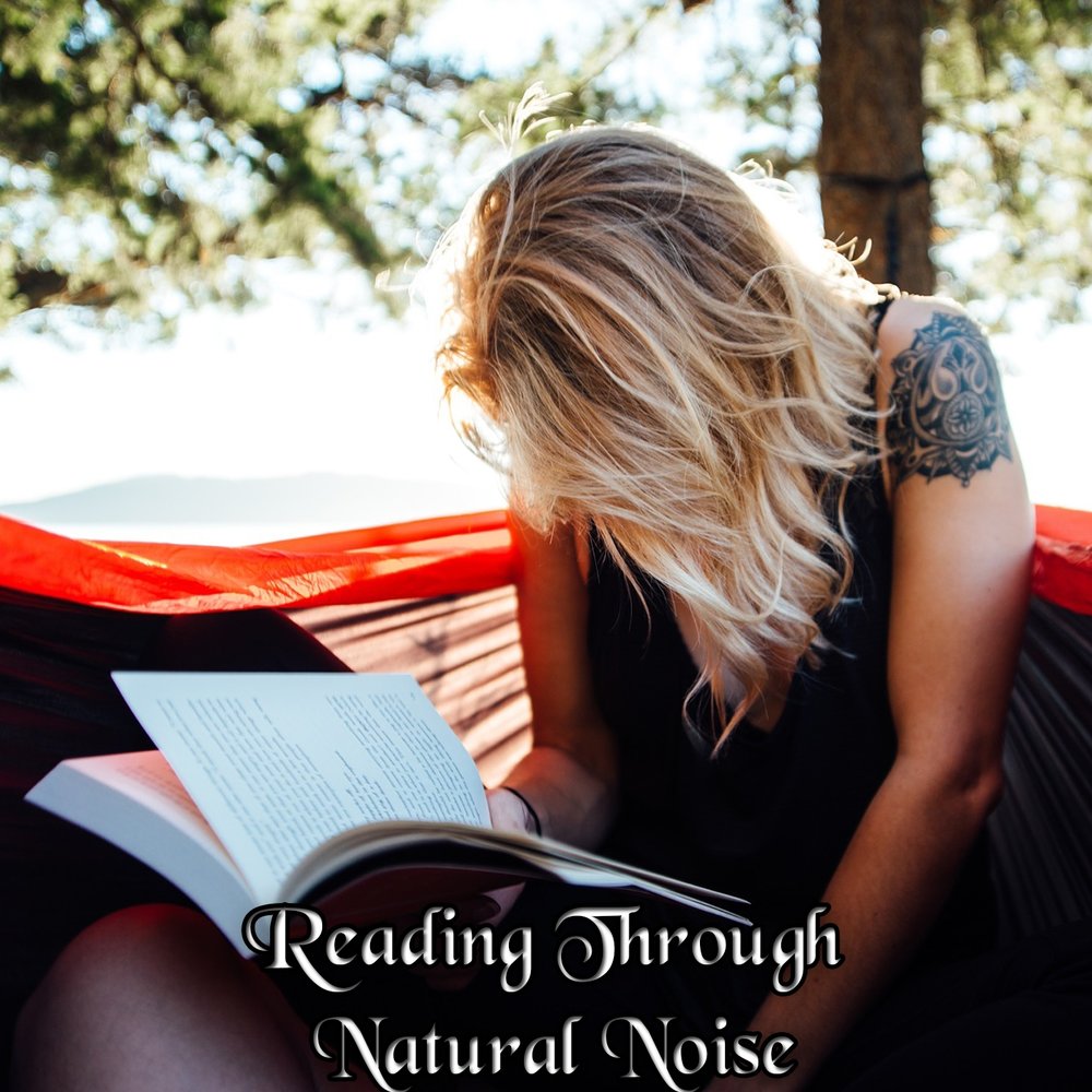 Девушка с книгой фото White Noise Research, Study Concentration, Study Hard альбом Reading Through Nat