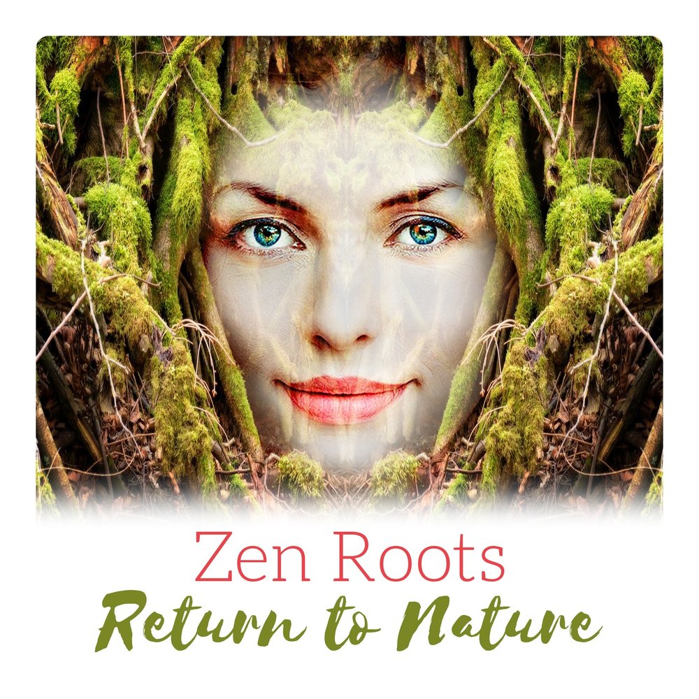 Return to roots. Return to roots