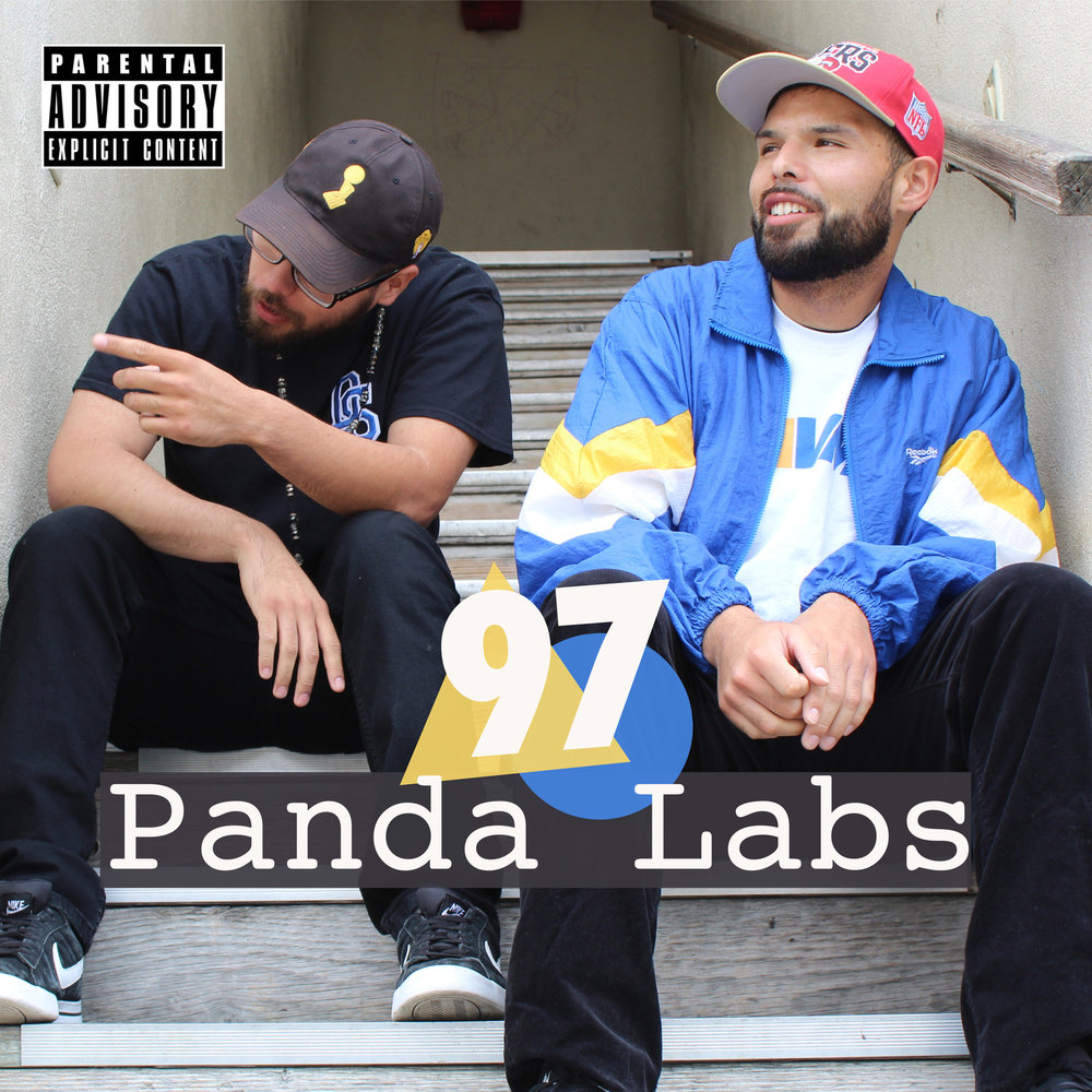 Panda lab. Панда_Лаб.