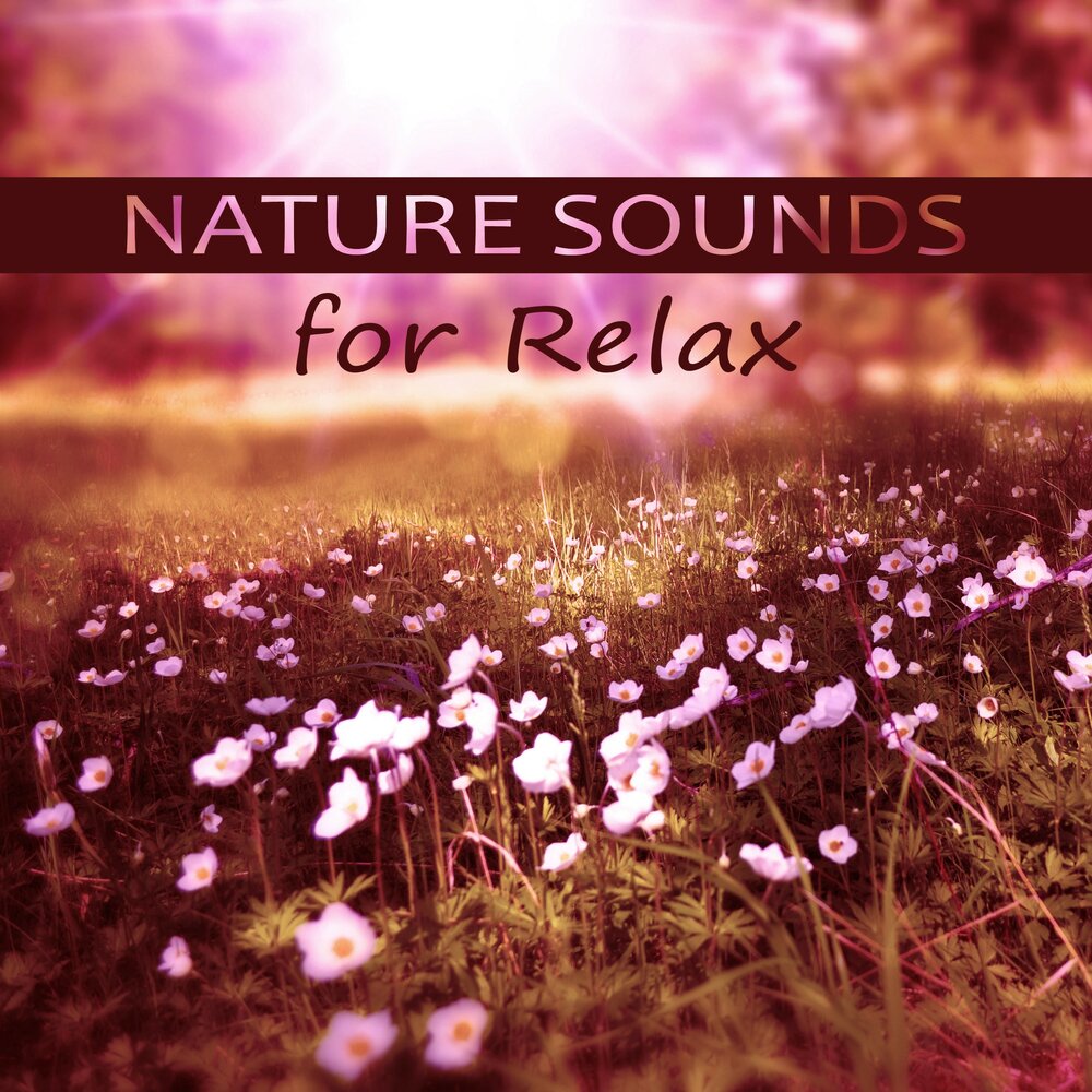 Naturals sounds. Релакс музыка природа. Nature in Music. Relax nature logo.