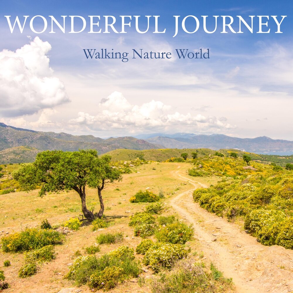 Natural world is. Natural World. Song about the natural World. Wonderful Miracles. World natural Life.