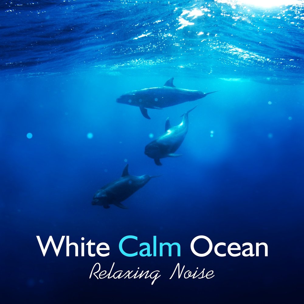 Silent ocean. Calm Ocean. Healing Waters Calming Water Consort. Calm Water.