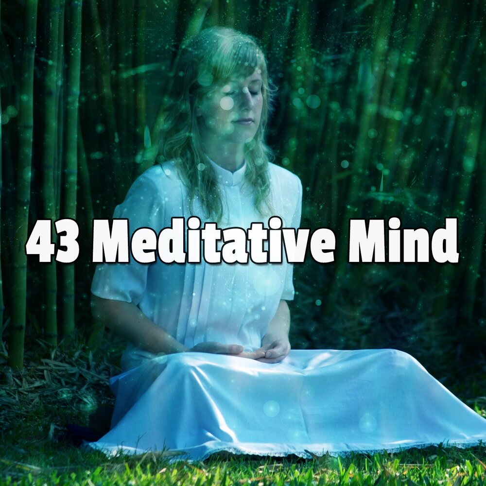 Meditative Mind. Музыка для глубокой медитации