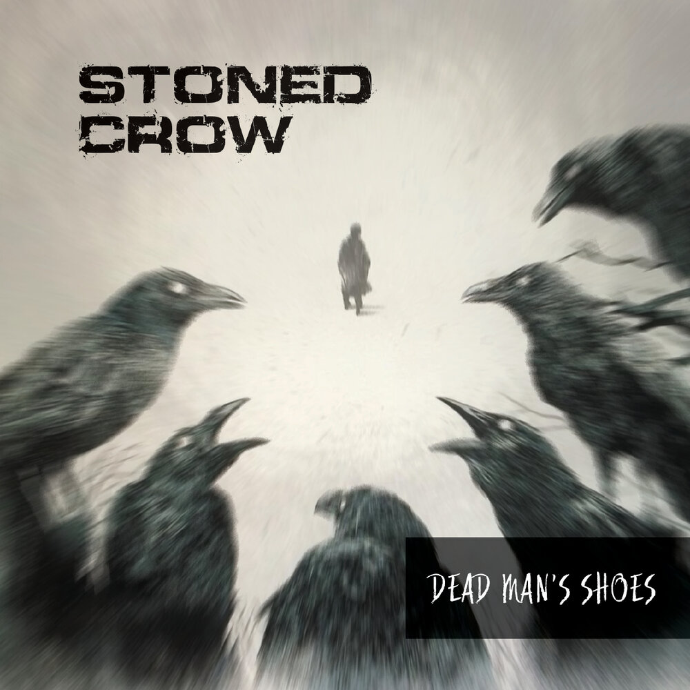 Тень ворона 1 слушать. Another Shadow вороны. Вороны для альбома. Down Stone the Crow. Xcho вороны альбом.