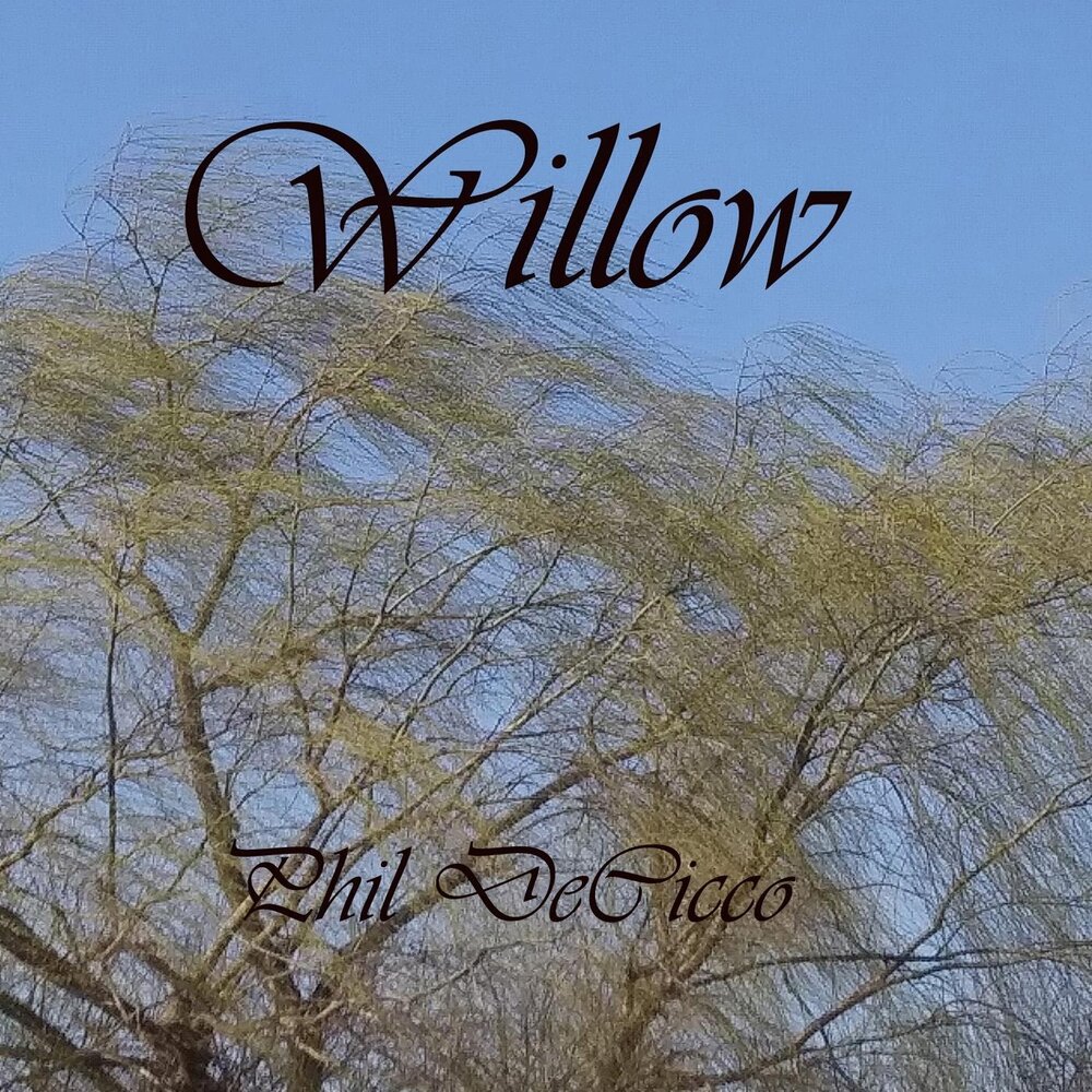 Coming my life. Willow альбомы. Ива и Фил биография.