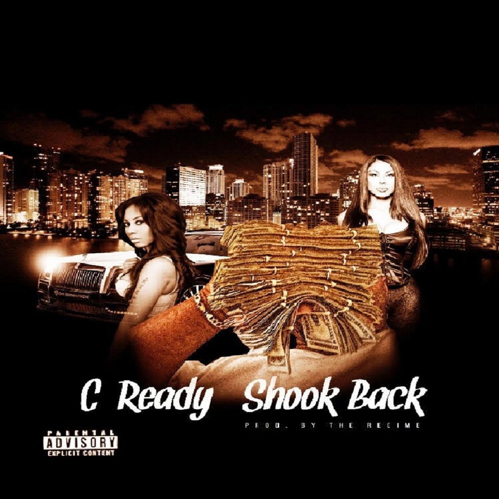 Насос дренажный flygt. Ready for c2. Swat 4 ready or not. Ready to win. Сват ready or not.