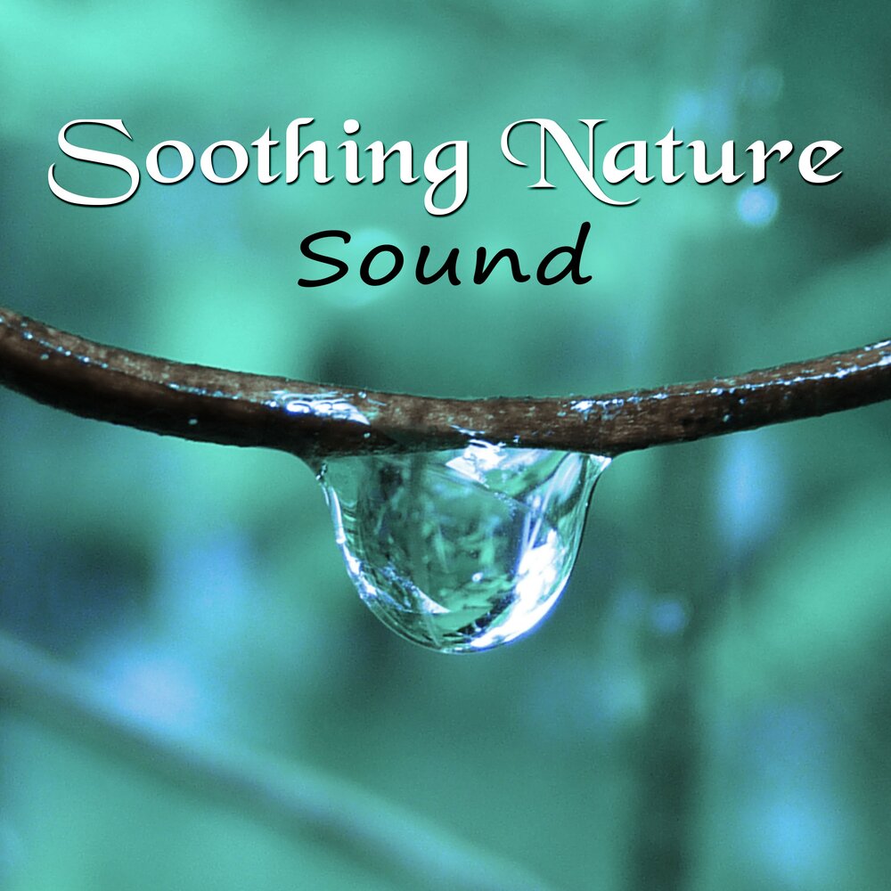 Nature songs