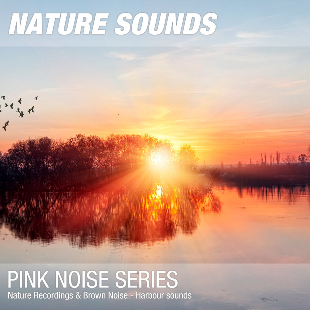 Nature noise. Noise in nature.