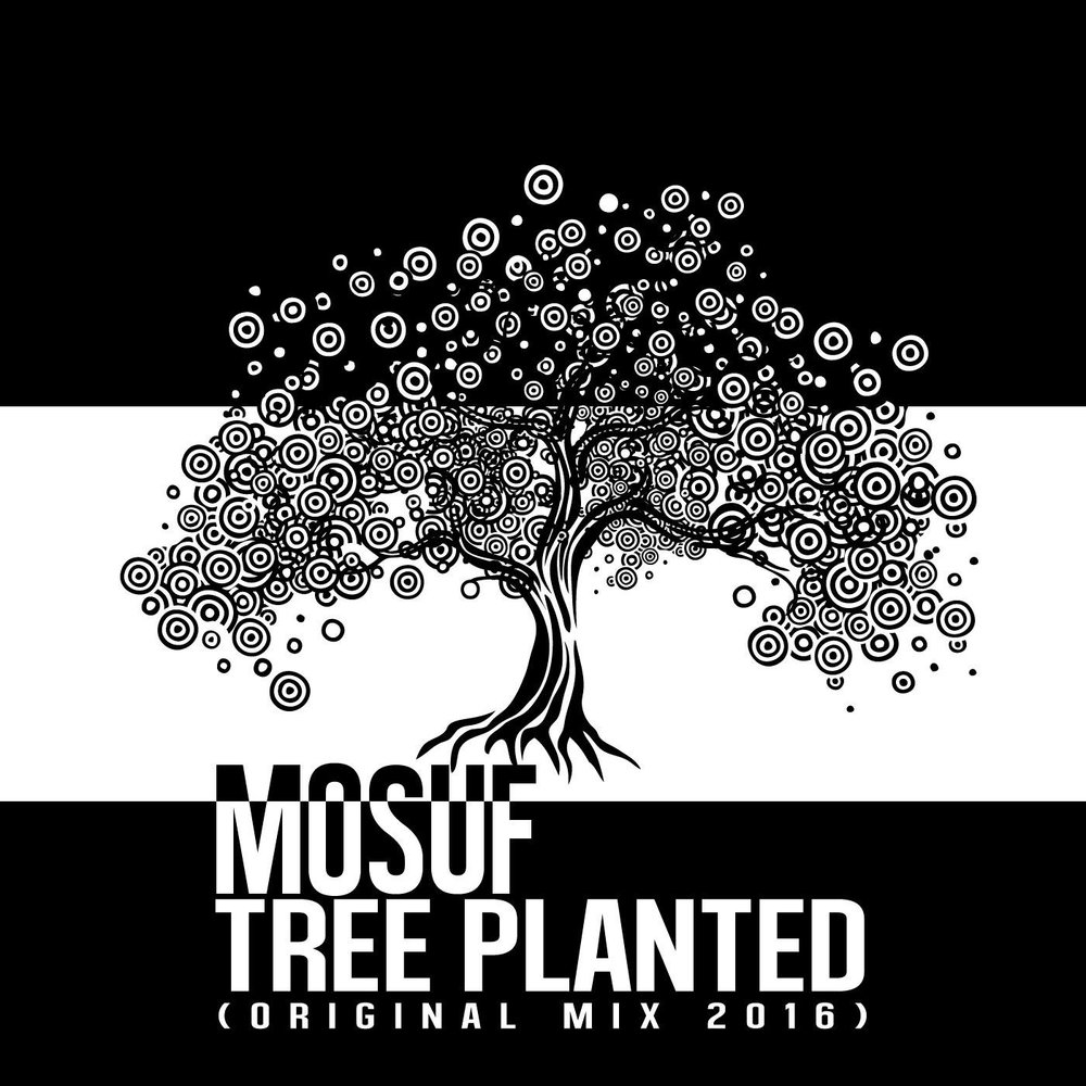 Альбом деревья. Mosuf. (Foo_playlist_Tree). The Song of the Tree 2018.