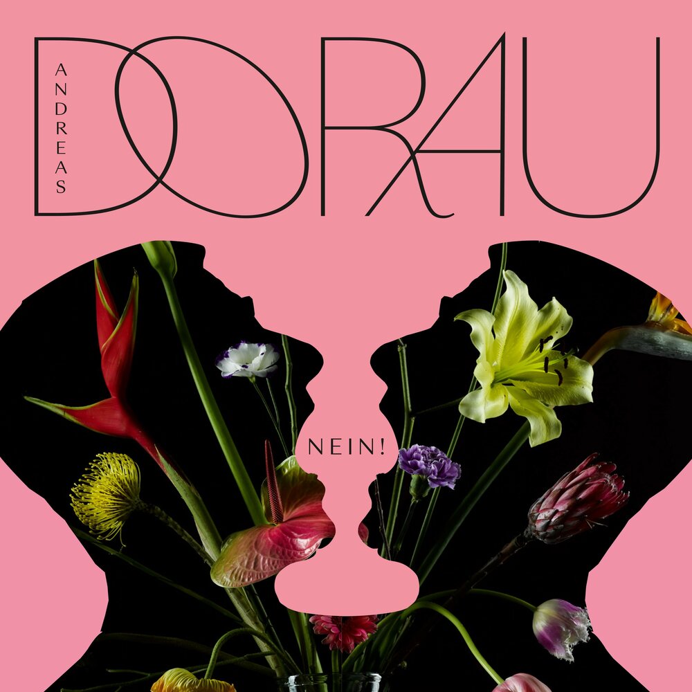 буквосочетание в немецком языке для начальной школы. немецкие буквосочетания. заполни таблицу die maus der wolf der tiger. ?. Nein.