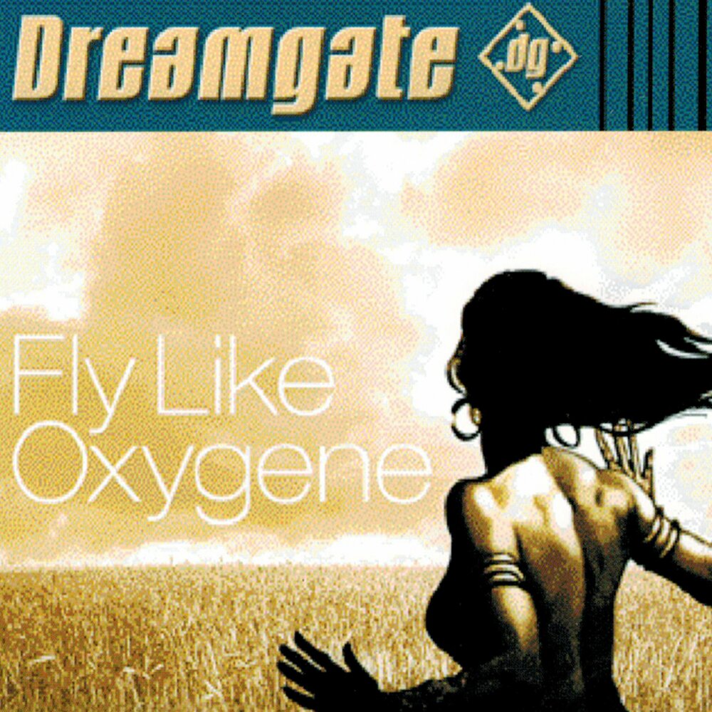 Feel like flies. Обложки музыкальных альбомов Dreamgate. Песня like to Fly. Dreamgate перевод.