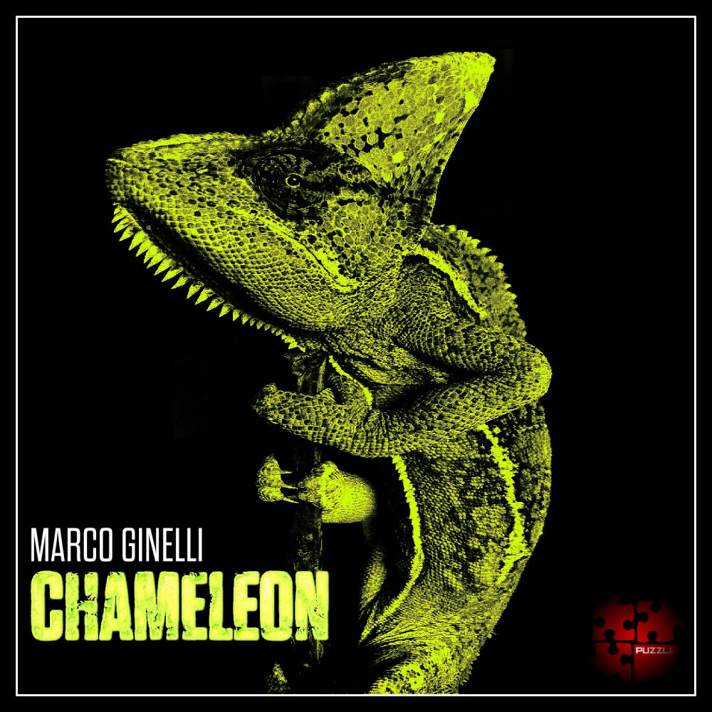 Хамелеон музыка. Chameleon песня. Хамелеон слушать аудиокнигу. Music for Chameleons.