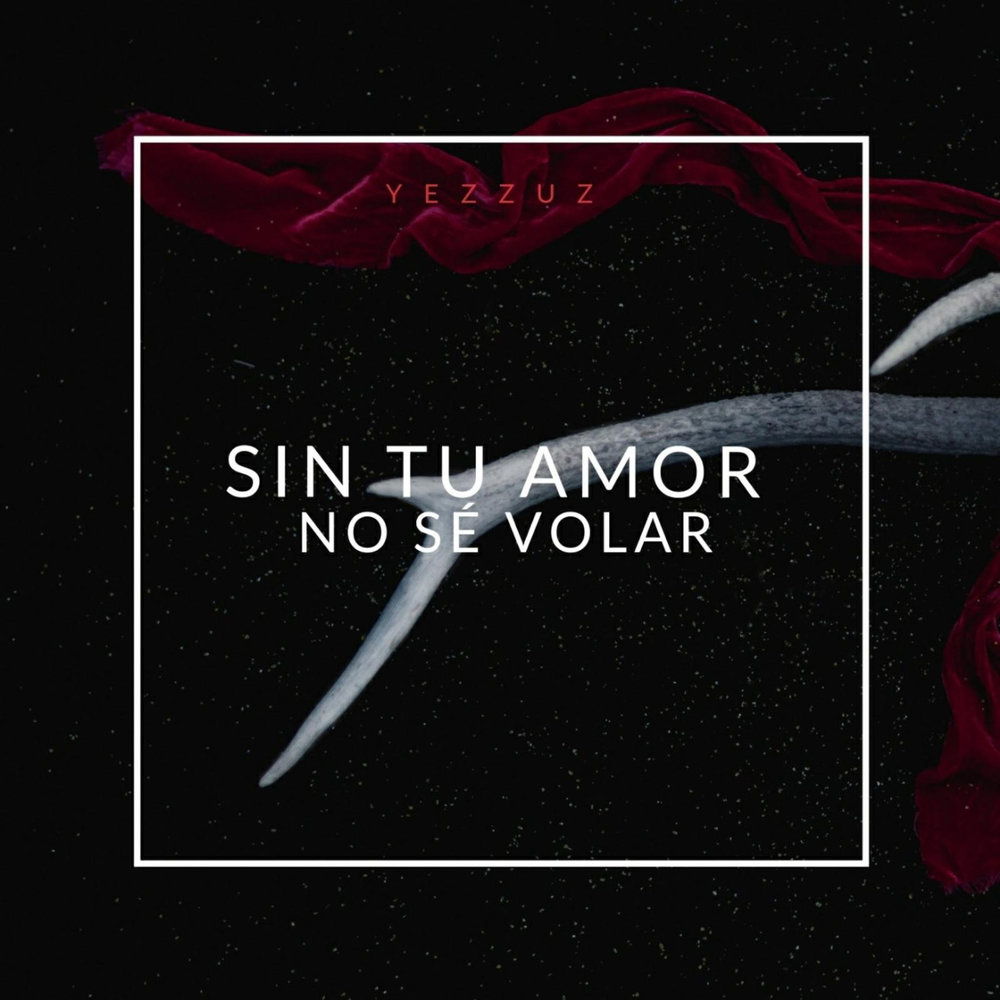 Sin tu amor