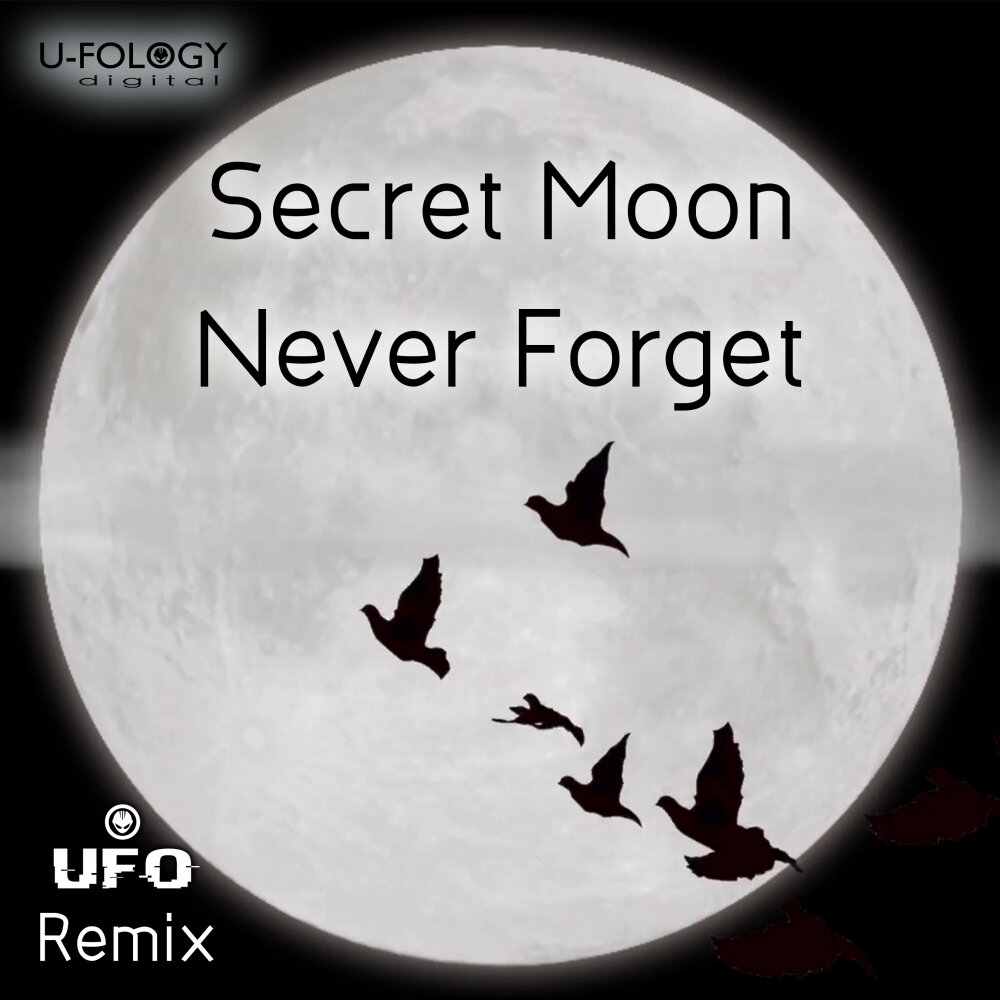 Secret moon. Never Moon. Secret Remix. X Moon секрет.
